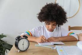 Role of Mentorship in Career Development