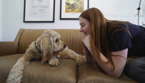 separation anxiety dog training Arizona