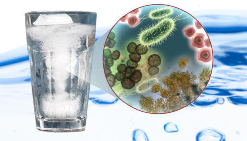 water quality